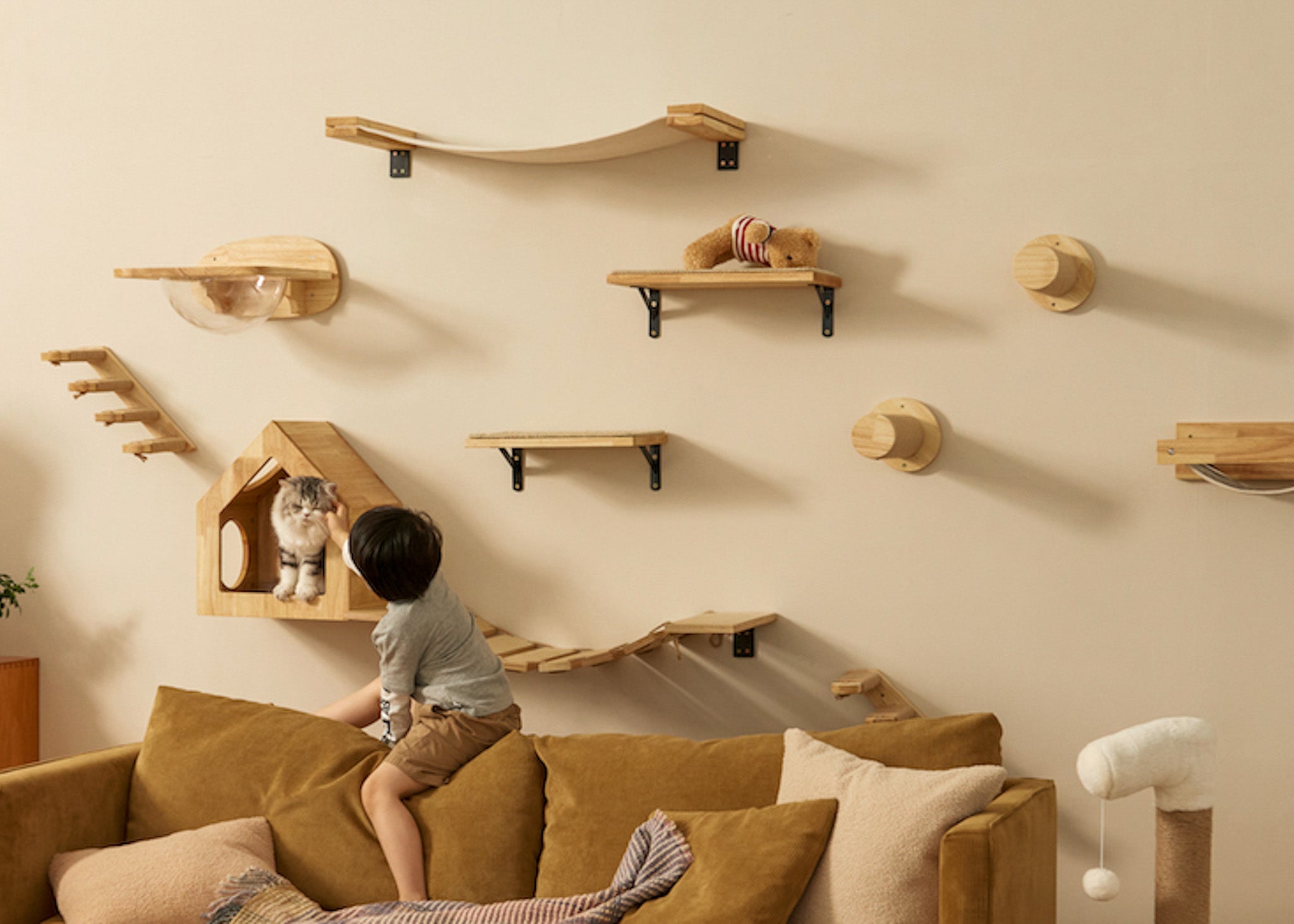 豐富貓咪生活的秘密:為何垂直空間至關重要?