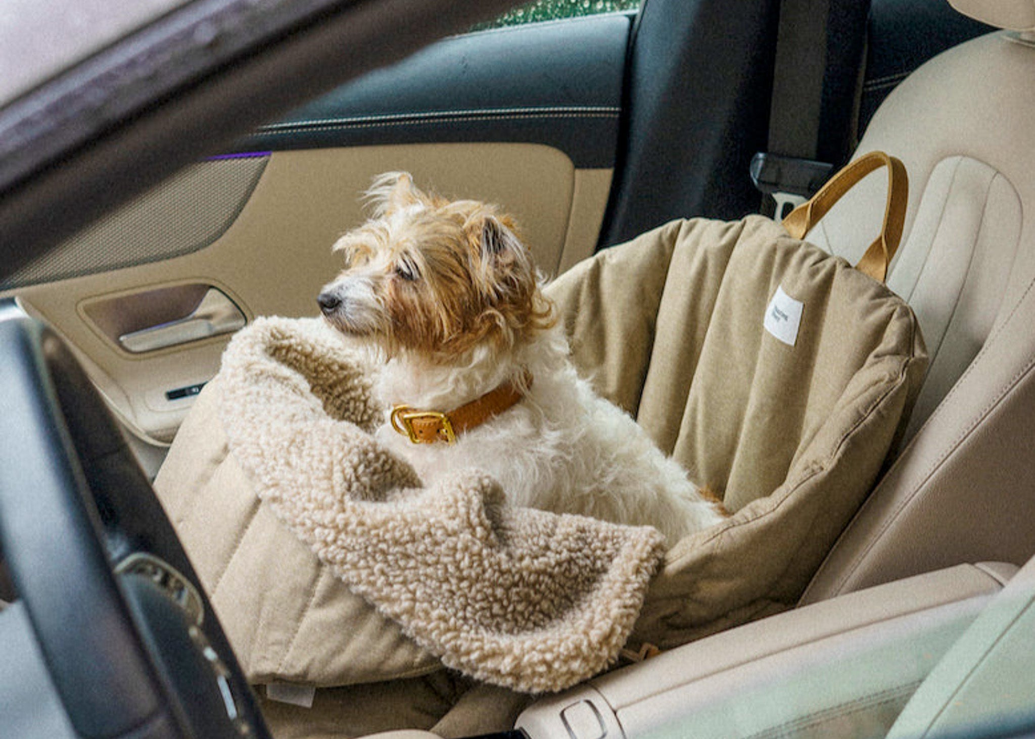 提升旅途品質:狗狗專用汽車座椅完美解決方案