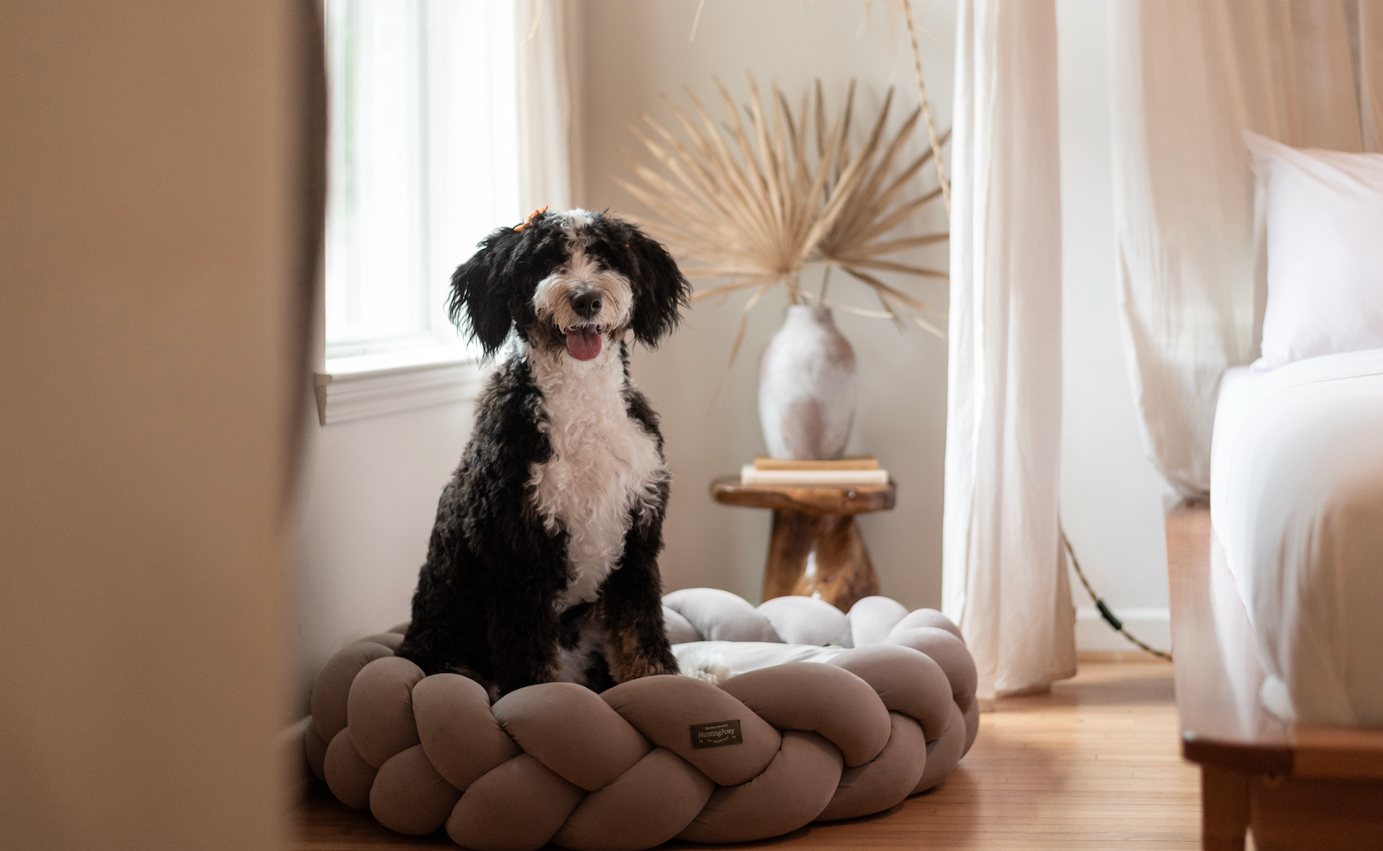 讓愛犬享受舒適與優雅:Hunting Pony 寵物麻花床墊