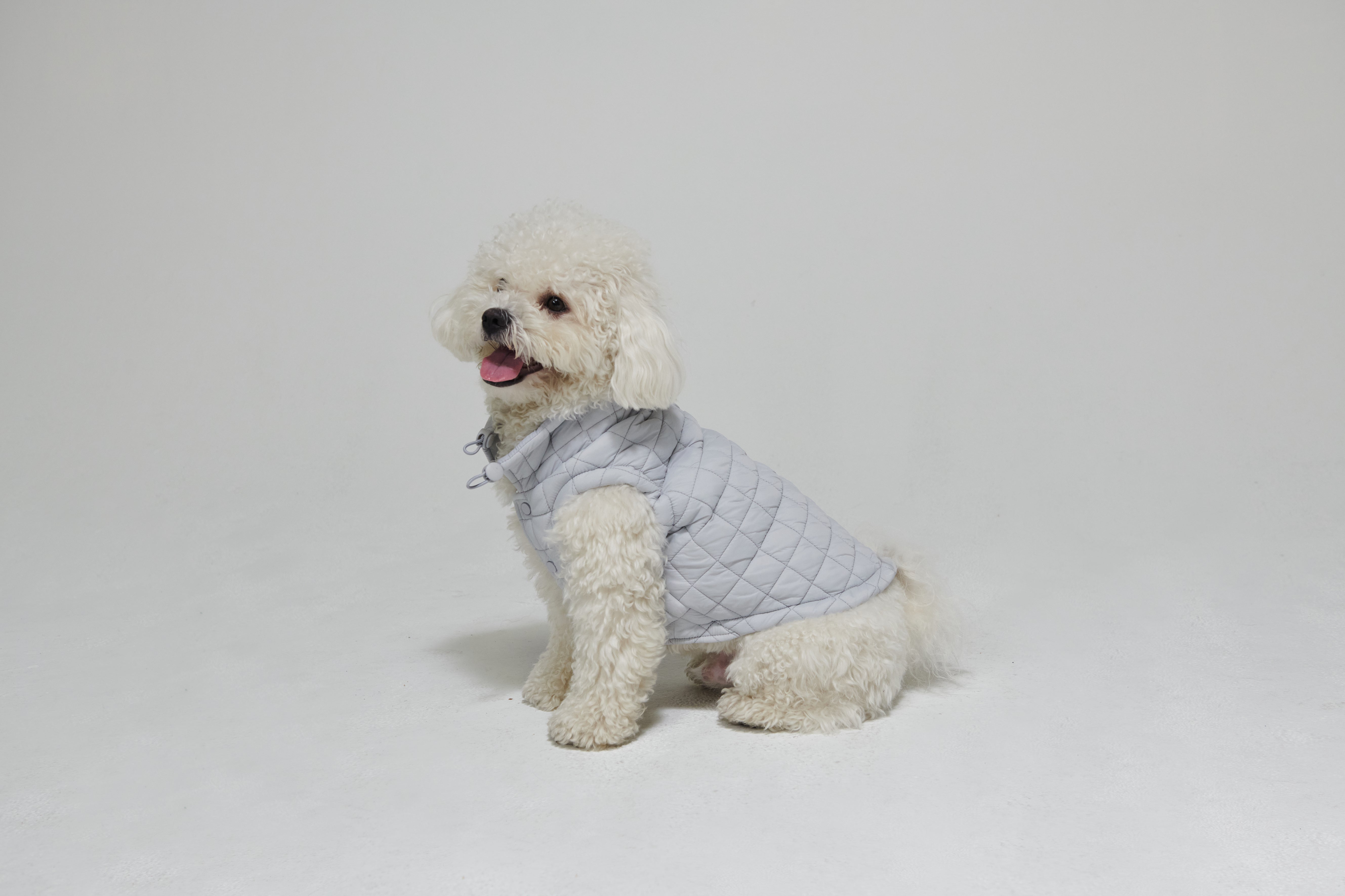 寵物時尚:輕便時尚的寵物夾克 讓你的狗狗成為全場焦點