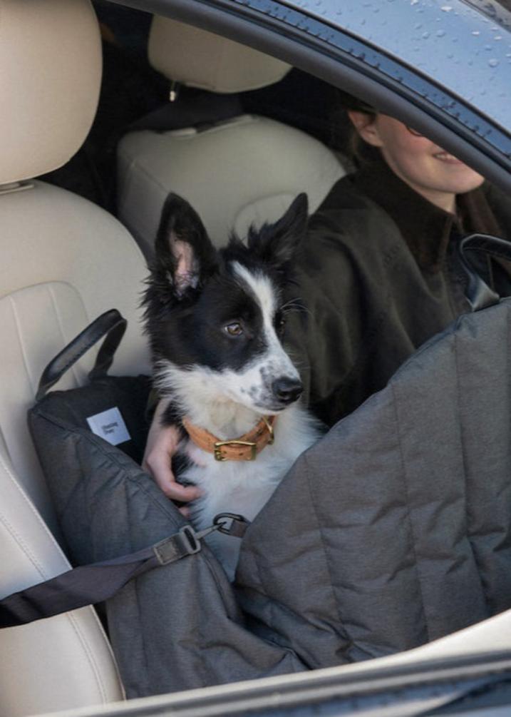 Pet car seat black ink color