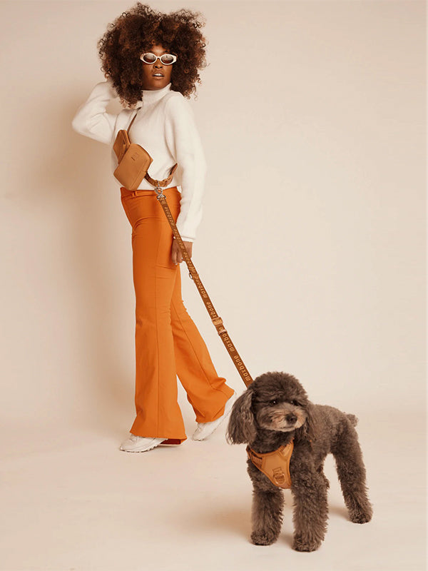 Go! Hands Free Pet Leash