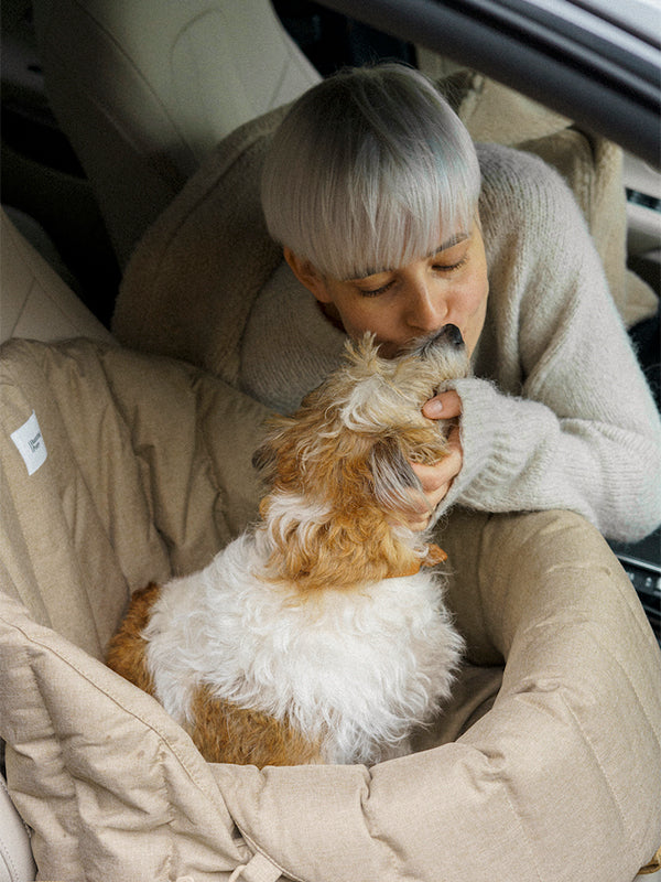 pet car seat rice color 