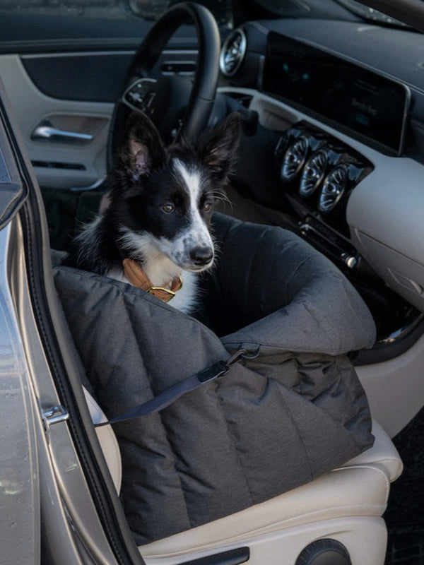 Pet car seat black ink color