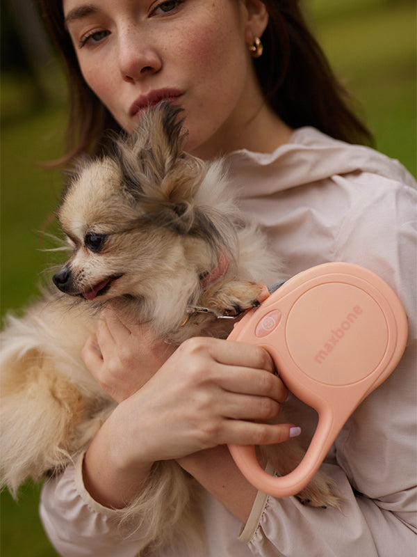 Maxbone light pink quick retractable pet leash