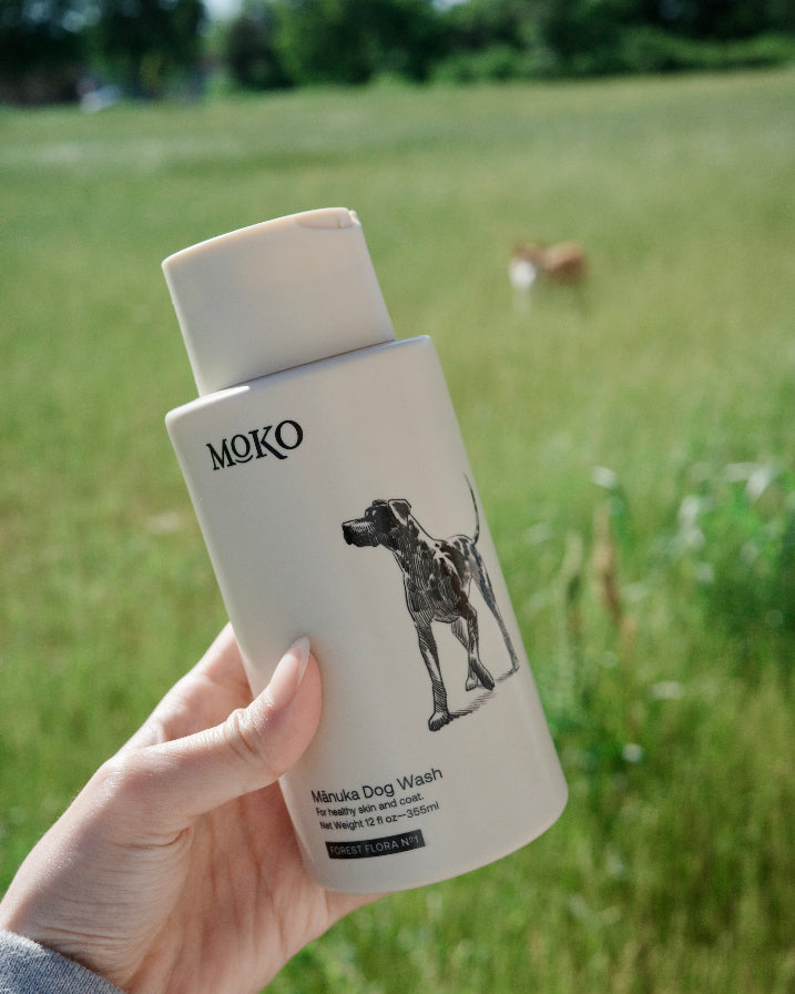 蜂蜜滋養犬用洗毛精
