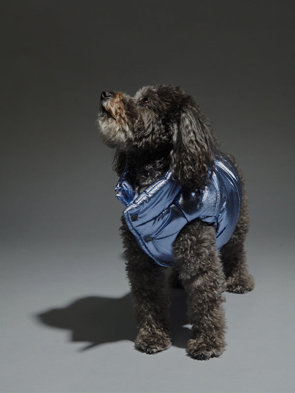 Metallic pet down vest